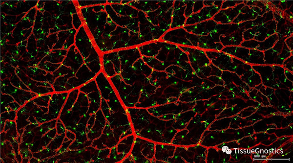 1621933270699715.jpg 640 (12).jpg