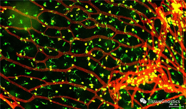 1621933290983540.jpg 640 (13).jpg