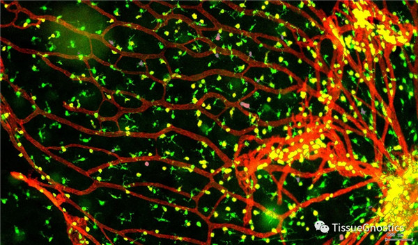 1621933320884389.jpg 640 (15).jpg