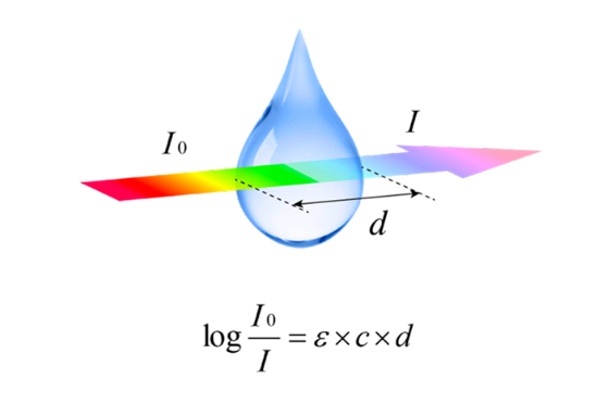 1649297965949872.png image.png