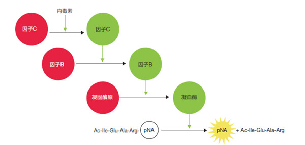 1649299809449891.jpg 640 (1).jpg