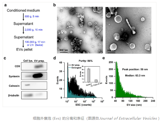 1671170269195986.png image.png