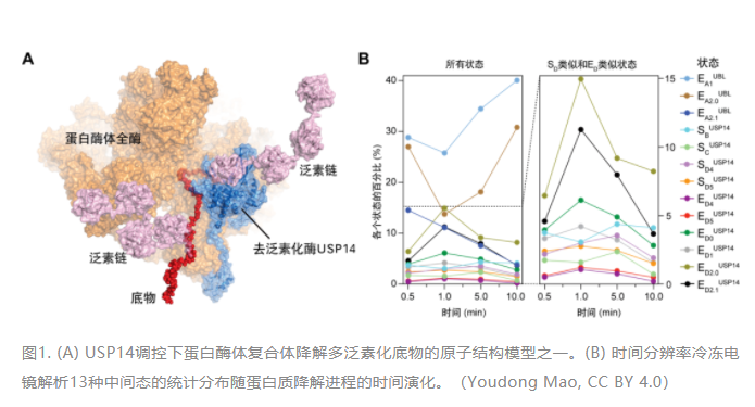 1671172916995880.png image.png