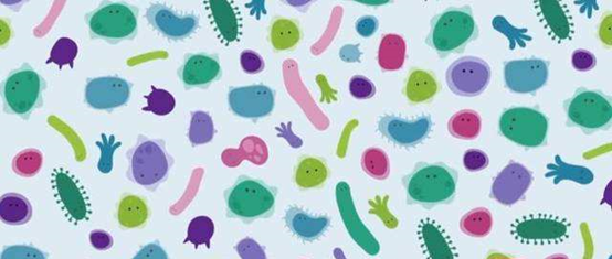 1671176094926923.png 640 (2).png