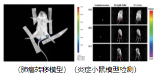 1671176322920275.png image.png