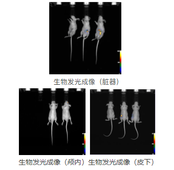 1671176366700487.png image.png