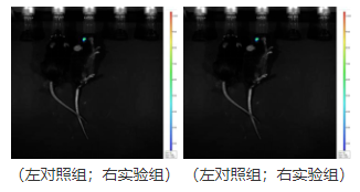 1671176391133660.png image.png