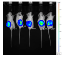 1671176400815901.png image.png